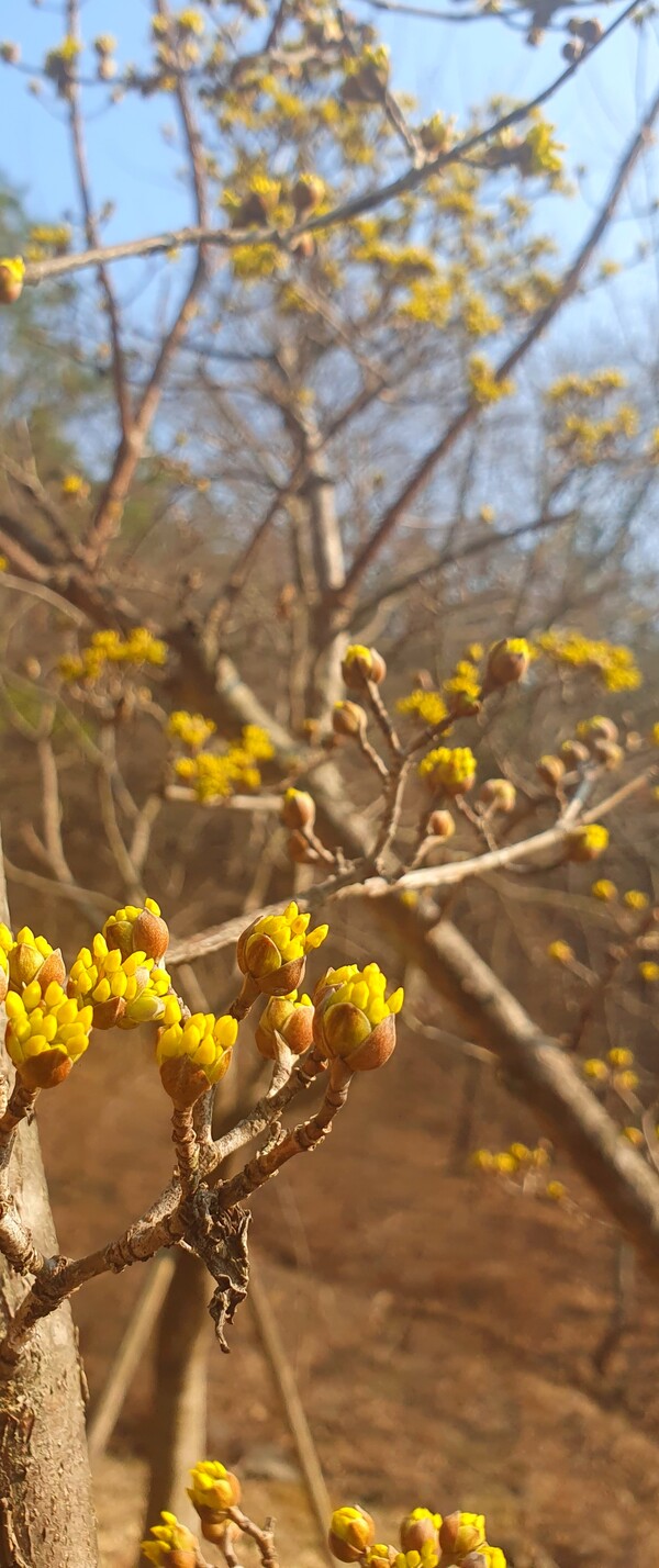 사진작가  청원  이상호  선생의  동네 한바퀴