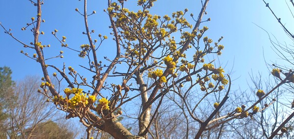 사진작가  청원  이상호  선생의  동네 한바퀴