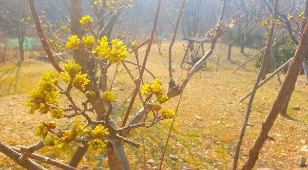 사진작가  청원  이상호  선생의  동네 한바퀴