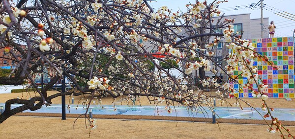 사진작가  청원  이상호  선생의  동네 한바퀴