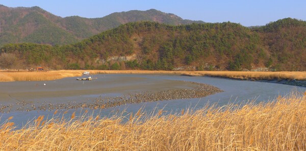 사진작가  청원 이상호 선생의  동네 한바퀴