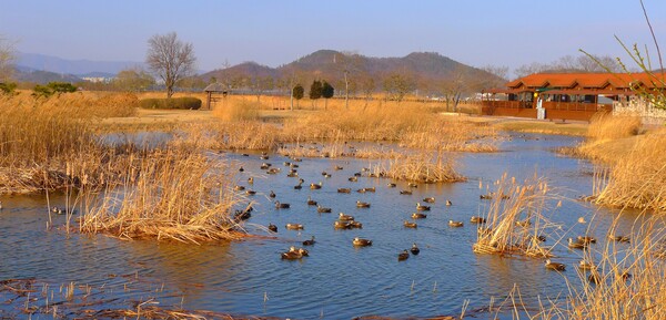 사진작가  청원 이상호 선생의  동네 한바퀴