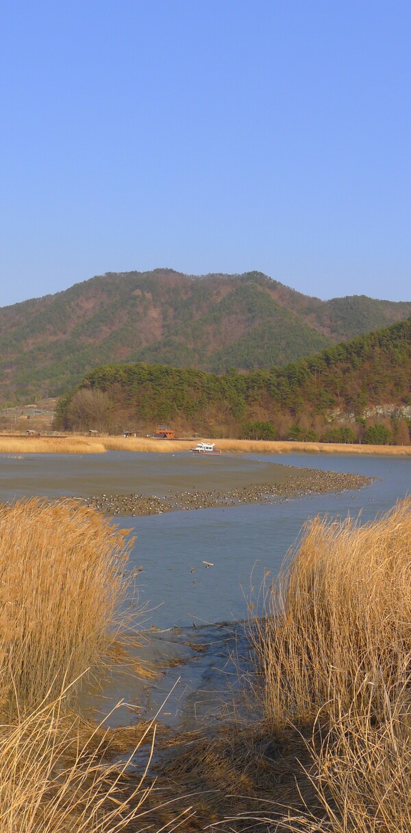 사진작가  청원 이상호 선생의  동네 한바퀴