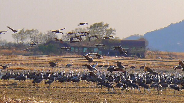 사진작가 청원 이상호 선생의  동네 한바퀴