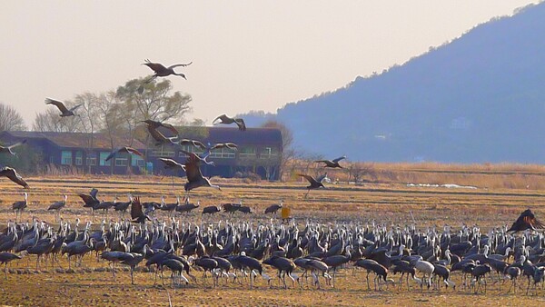 사진작가 청원 이상호 선생의  동네 한바퀴