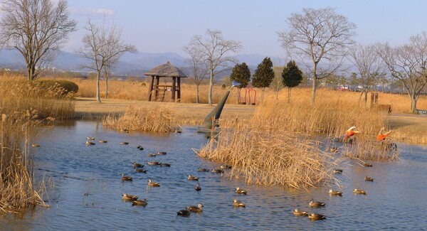 사진작가 청원 이상호 선생의  동네 한바퀴
