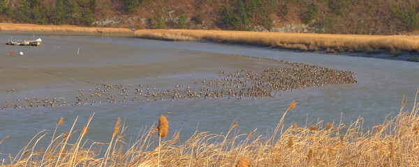 사진작가 청원 이상호 선생의  동네 한바퀴