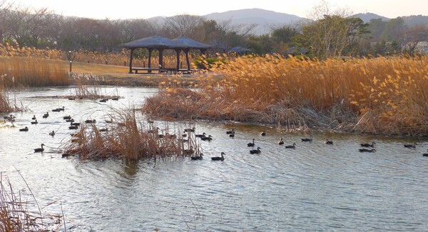 사진작가 청원 이상호 선생의  동네 한바퀴