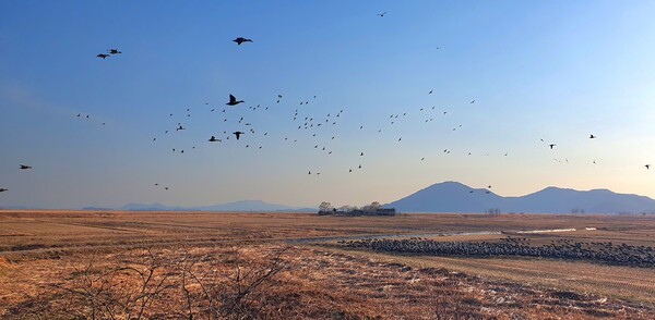 사진작가 청원 이상호 선생의  동네 한바퀴