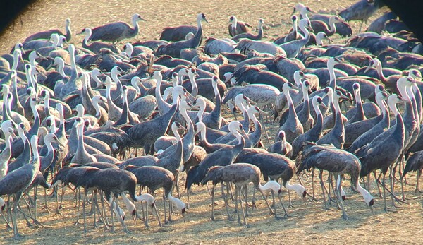 사진작가 청원 이상호 선생의  동네 한바퀴