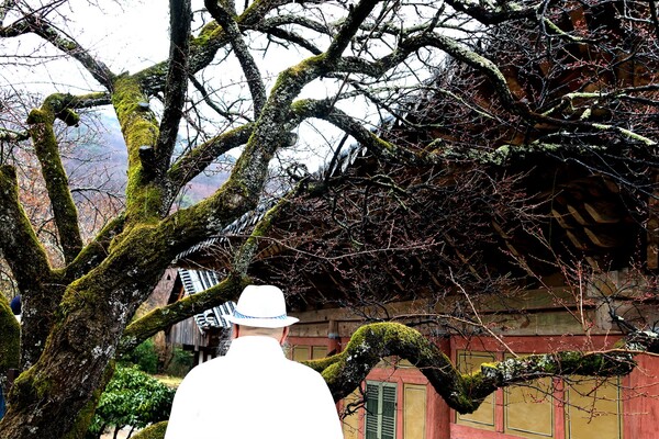 아침부터 봄비가 오는 가운데 촬영은 계속되고