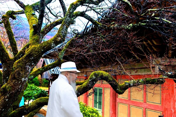 아침부터 봄비가 오는 가운데 촬영은 계속되고