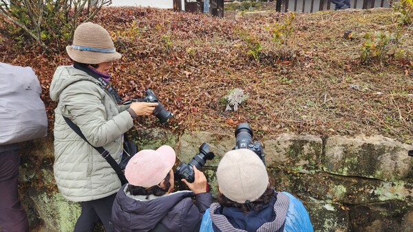 사)한국디지털사진가협회 서울지부 사진작가들 