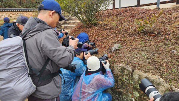 사)한국디지털사진가협회 서울지부 사진작가들