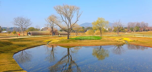 순천만 국가정원에 찾아온 봄의 전령들