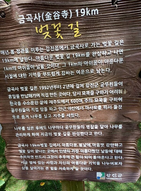 금곡사 벚꽃길 안내 표지판. [사진=제보자]