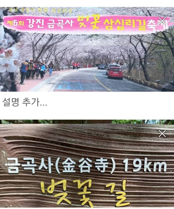 벚꽃축제를 알리는 현수막. [사진=제보자]