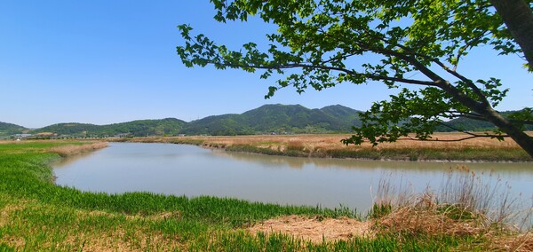 순천만정원의  초여름 풍경