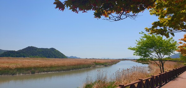 순천만정원의  초여름 풍경