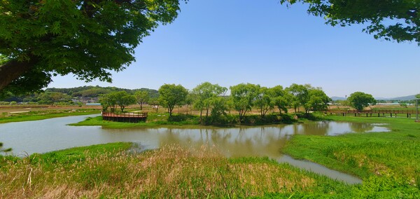 순천만정원의  초여름 풍경