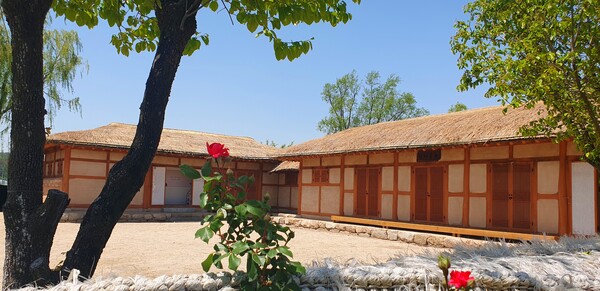 순천만정원의  초여름 풍경