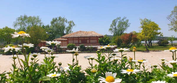 순천만정원의  초여름 풍경