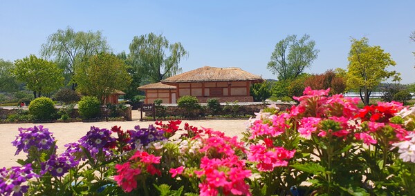 순천만정원의  초여름 풍경