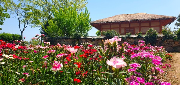 순천만정원의  초여름 풍경