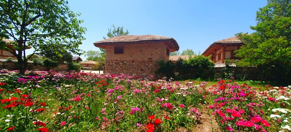 순천만정원의  초여름 풍경