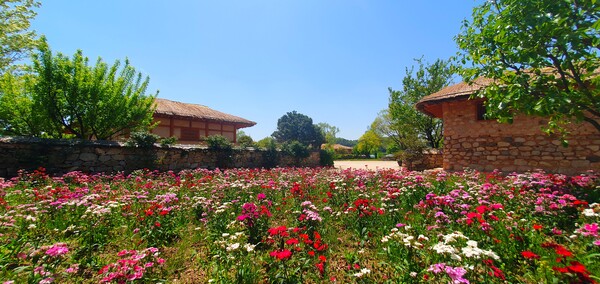 순천만정원의  초여름 풍경