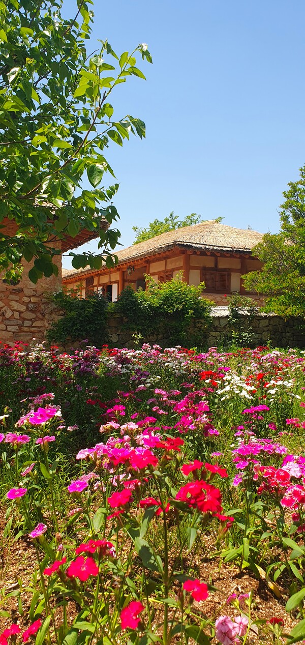 순천만정원의  초여름 풍경