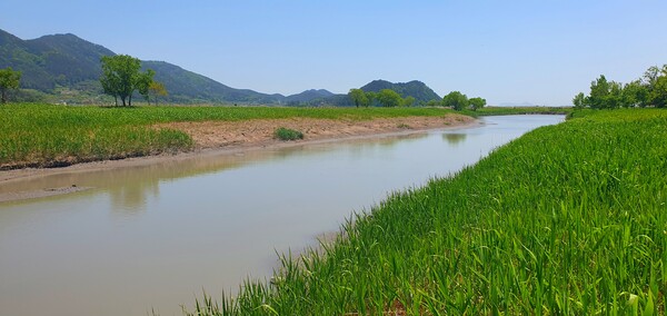 순천만정원의  초여름 풍경
