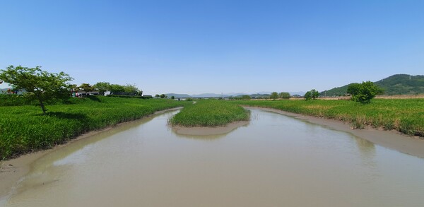 순천만정원의  초여름 풍경