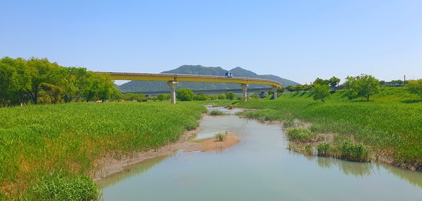 순천만정원의  초여름 풍경