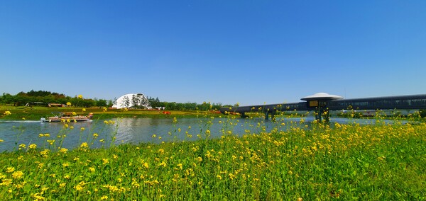 순천만정원의  초여름 풍경