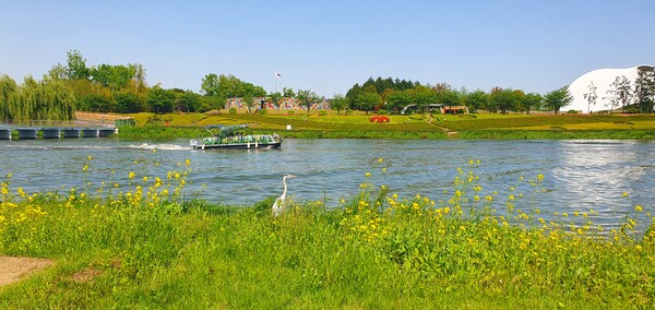 순천만정원의  초여름 풍경