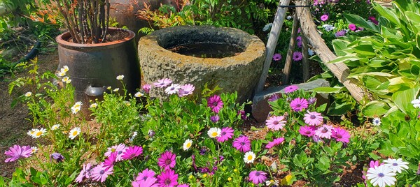 순천만정원의  초여름 풍경