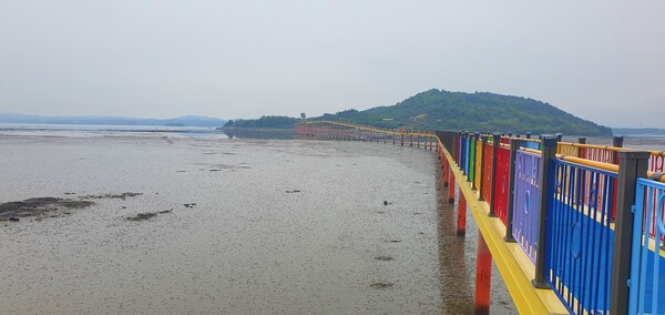 순천만정원의  초여름 풍경