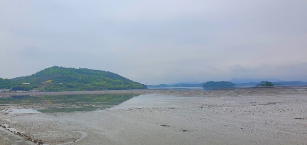 순천만정원의  초여름 풍경