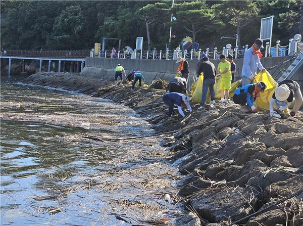 조국혁신당 목포시지역위원회 당원들이 폭우후 밀려든 해양쓰레기 청소 봉사활동을 하고 있다. [사진=조국혁신당 목포지역위원회]