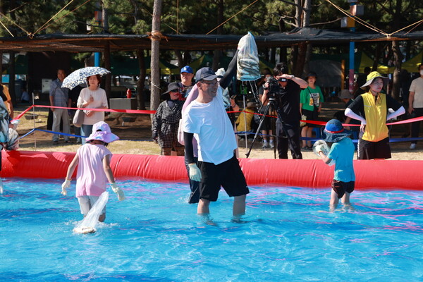 감쪽같은 전어축제 전어 ‘꽉 잡았다!’  [사진=보성군]