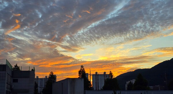 순천만 국가정원의 여름풍경