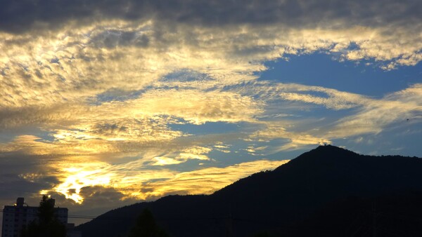 순천만 국가정원의 여름풍경