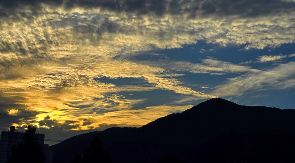 순천만 국가정원의 여름풍경