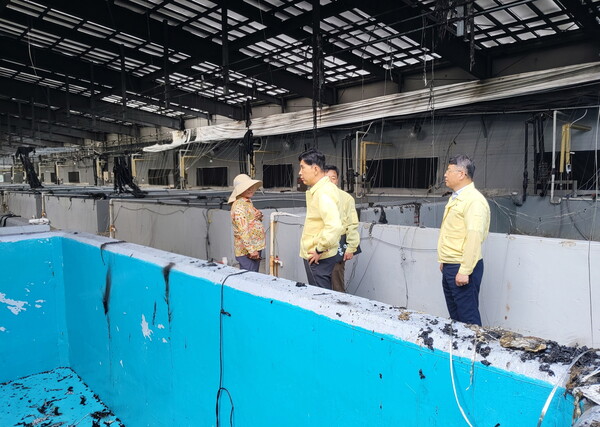 김철우(가운데) 보성군수가 종묘배양장 화재 현장에서 피해 상황을 점검하고 있다. [사진=보성군]