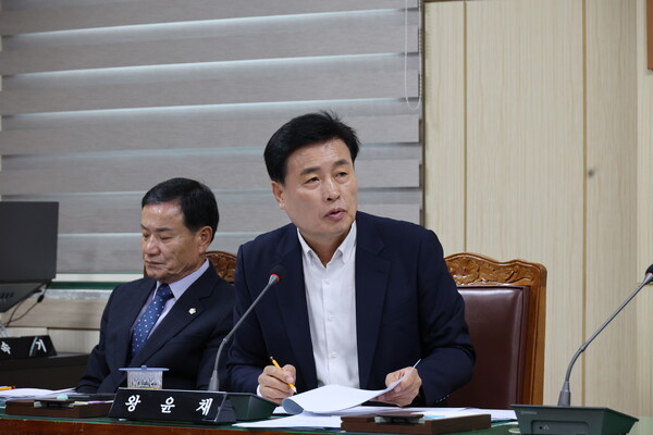 왕윤채 의원. [사진=장흥군의회]