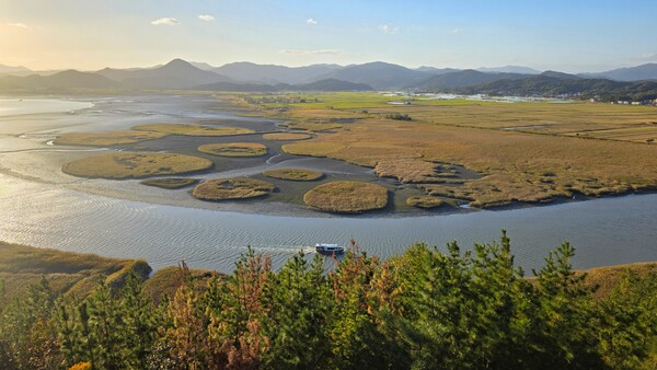 순천만의 가을 풍경