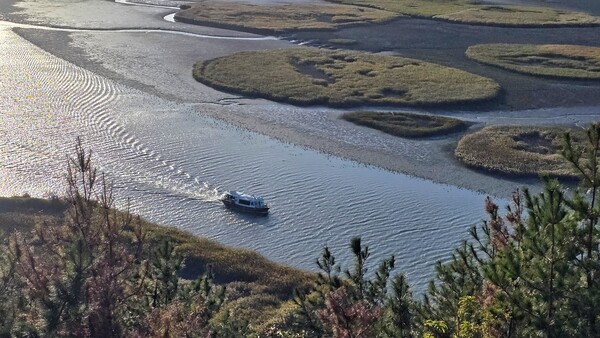 순천만의 가을 풍경
