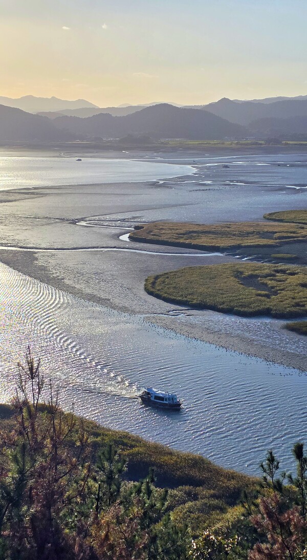 순천만의 가을 풍경