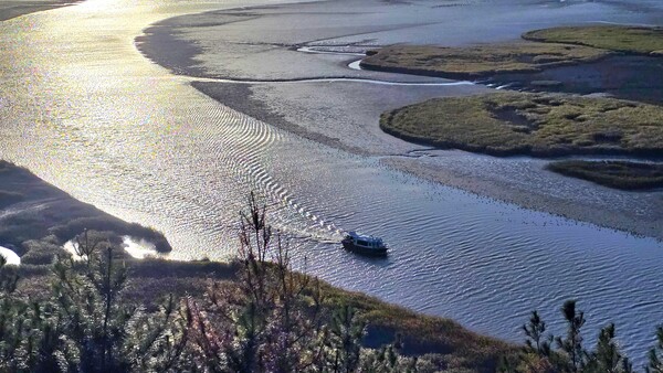 순천만의 가을 풍경